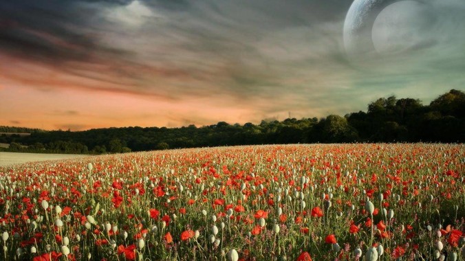 你干过最牛的一件事是什么?